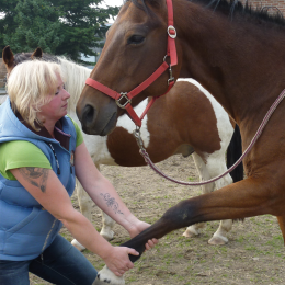 Heike Schmitz mit Pferd